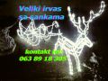Svetleći irvasi