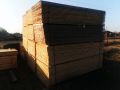 Daska colara KRATICA 100E