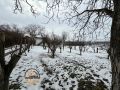 Busije vikend kucica