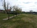 Kuća u Deču, opština Pećinci