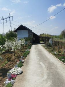 Prodajem kuću u Po-130 m², 33 ari 68000e