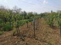 Prodajem kuću u Po-130 m², 33 ari 68000e