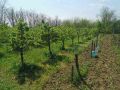 Prodajem kuću u Po-130 m², 33 ari 70000e