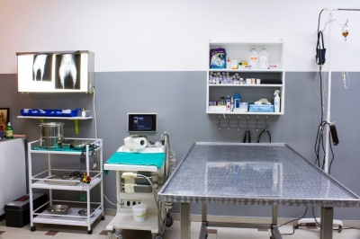 Veterinarska ambulanta za kucne...