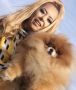 Pomeranci, Pomeranian, Boo