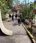 Nemački ovčar