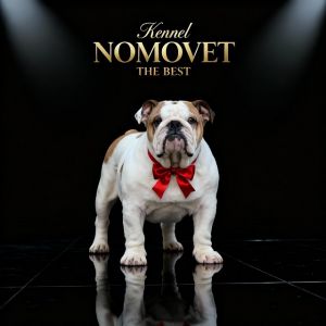 Engleski buldog vrhunski štenci