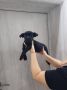 Na prodaju stenad Cane Corso,