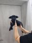 Na prodaju stenad Cane Corso,