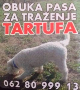 Psi za trazenje tartufa -Tartufari
