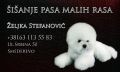 Ulepsavanje malih rasa pasa