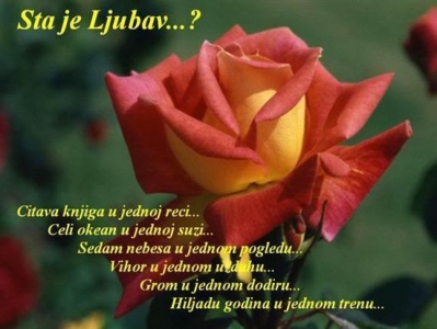 Ozbiljna veza ili Brak