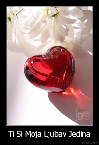 Ozbiljna veza ili Brak