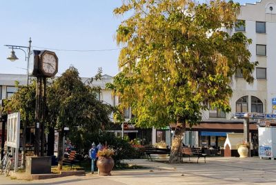 Prodajem lokal, Petrovac centar