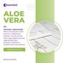 Aloe vera naddušeci - Spavajte udobno