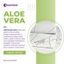 Aloe vera naddušeci - Spavajte udobno