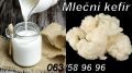 Mlečni kefir, Tibet. gljiva kol. za 1/2 L