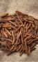 TIENS CordyCafé