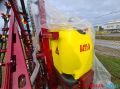PRSKALICE LOLA HOLAND 