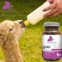 Colostrum IgG40-Najbolje za imunitet