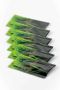 Barley Grass – Kesice