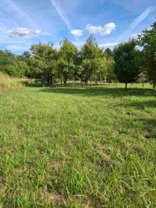 Prodajem plac u Krnjaci