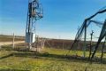 Voćnjak trešnje u punom rodu, 1.5 Ha, Sr
