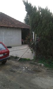 VIKENDICA U LJUBIČEVU