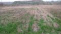 P-41 Prodajem plac od 2,8 HA