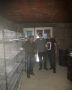 Započnite biznis sa 240 prepelica