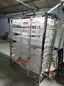 Kavezi za 750 japanskih prepelica