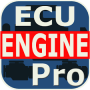Chip Tuning ECO Tuning EGR DPF FAP off