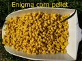Corn pellet Enigma