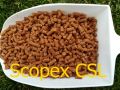 Scopex CSL Enigma