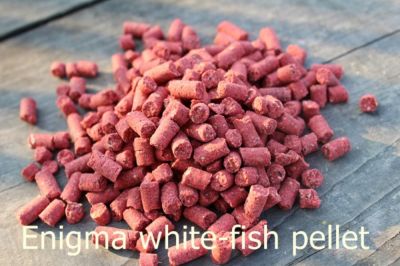 Pellet white fish Enigma