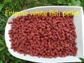 Pellet white fish Enigma