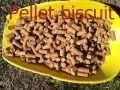 Pellet biscuit Enigma-natur