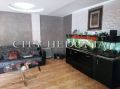 Stan na dan