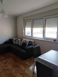 Stan u centru Požarevca - izdaje se