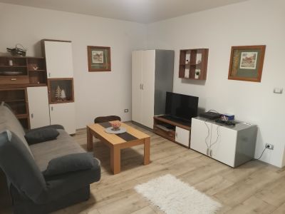 Izdajem stan u centru Požarevca