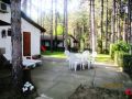 Odmor na Dunavu u borovoj šumi, povoljno