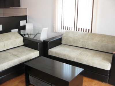 SOKOBANJA-Izdajem apartman preko puta...