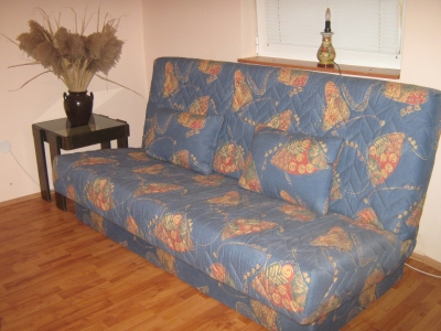Apartman u strogom centru Sokobanje, 50...