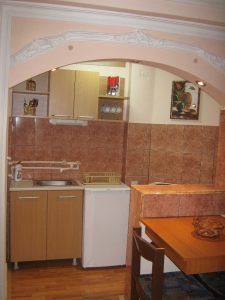 Apartman u strogom centru Sokobanje, 50...