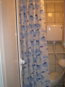 Apartman u strogom centru Sokobanje, 50...