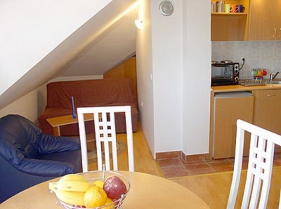 APARTMAN T, ZLATIBOR Na desetak minuta...