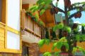 VILLA NATURAL WOOD ZLATIBOR Apartman sa 1 spavaćom