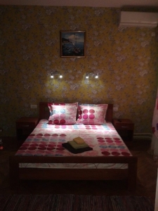 NOVI SAD CENATR LUX SOBE, APARTMANI I HO