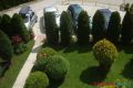 Studio Apartman Božović 1 Zlatibor Planina Djurkov