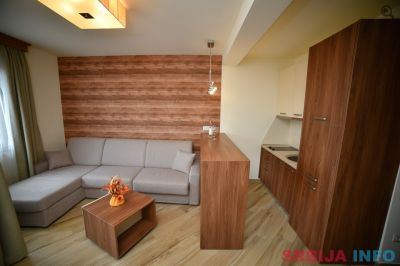 Studio Apartman Central Inn 5 Zlatibor Planina